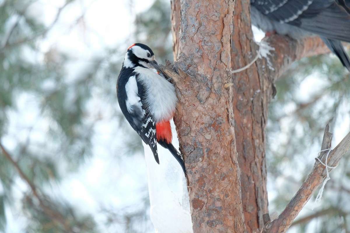 ������� ����� ������  �� PhotoGeek.ru #�������� ��� #������ ��� �������