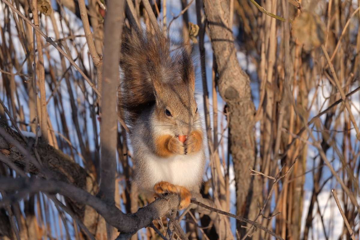 � ������ �� �������.... ����� ������  �� PhotoGeek.ru #�������� ���