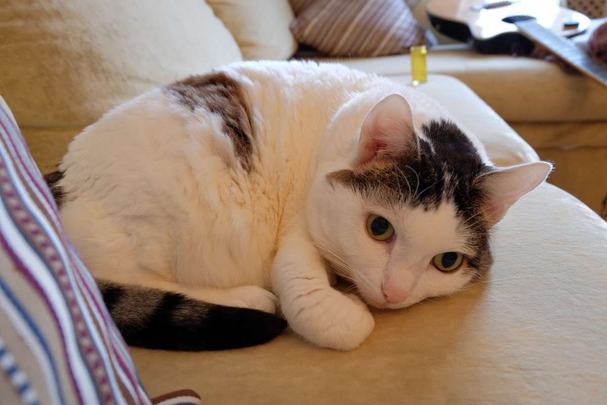 ���� �� ����� ����.... ����� ������  �� PhotoGeek.ru #�������� ���