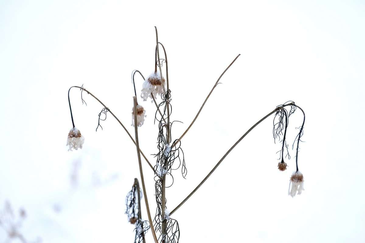 ������� ������... ����� ������  �� PhotoGeek.ru #������ ��� �������