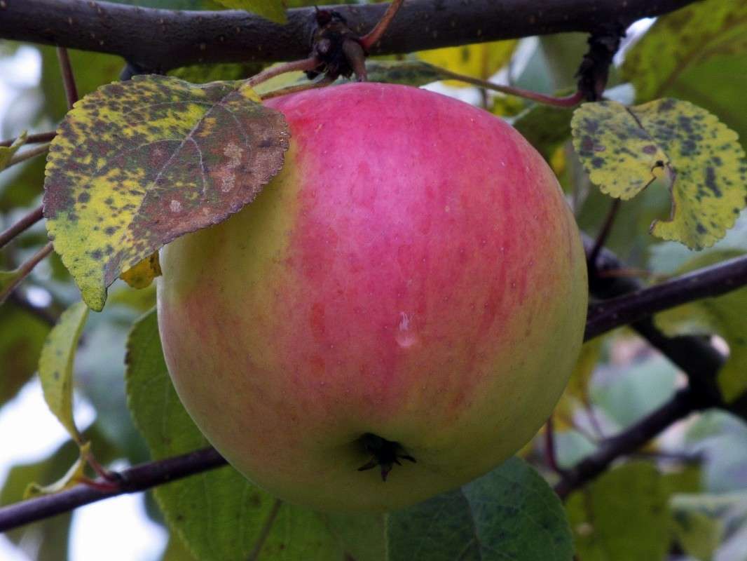 ������� ��������.... ����� ������  �� PhotoGeek.ru #������ ��� �������