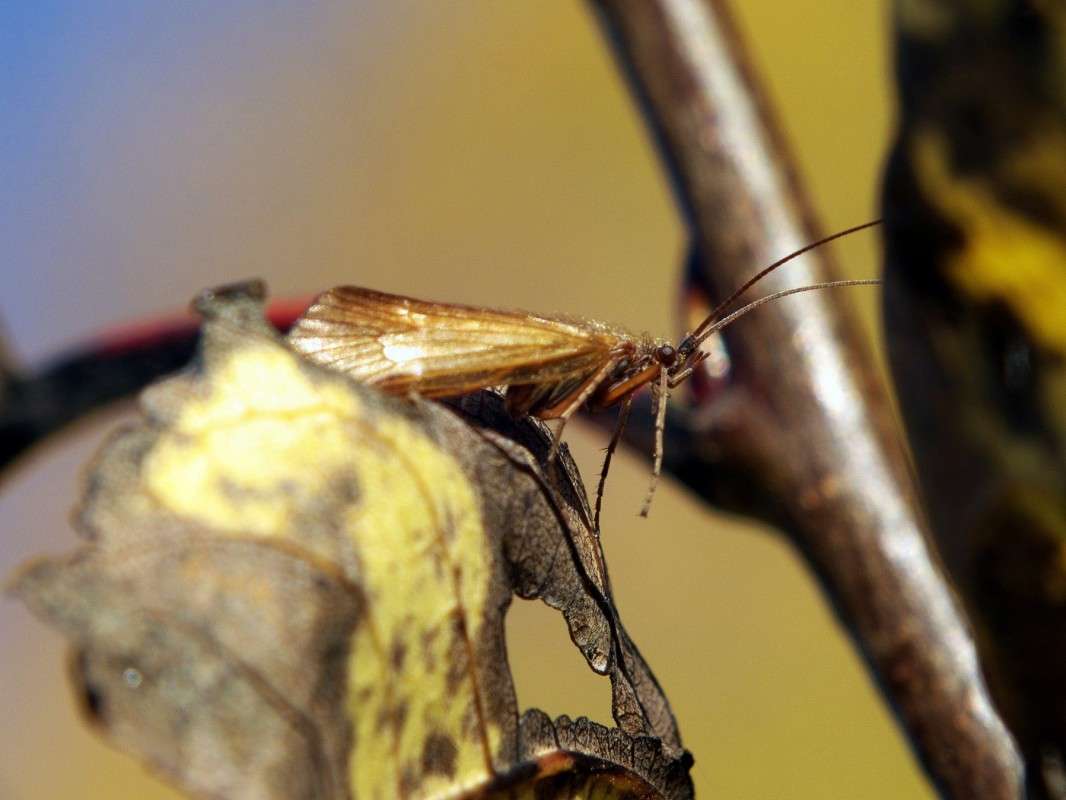 ������� ��������� ����� ������  �� PhotoGeek.ru #�����