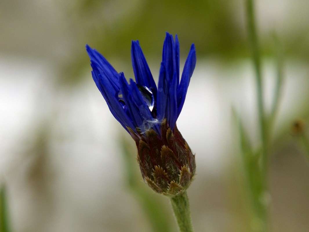 ������ ����� ������  �� PhotoGeek.ru #������ ��� �������