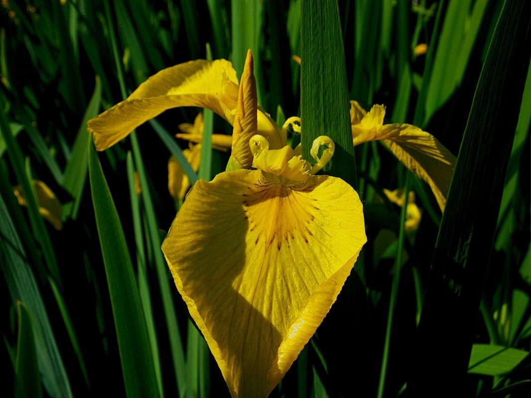 � ���� ������... ����� ������  �� PhotoGeek.ru #������ ��� �������