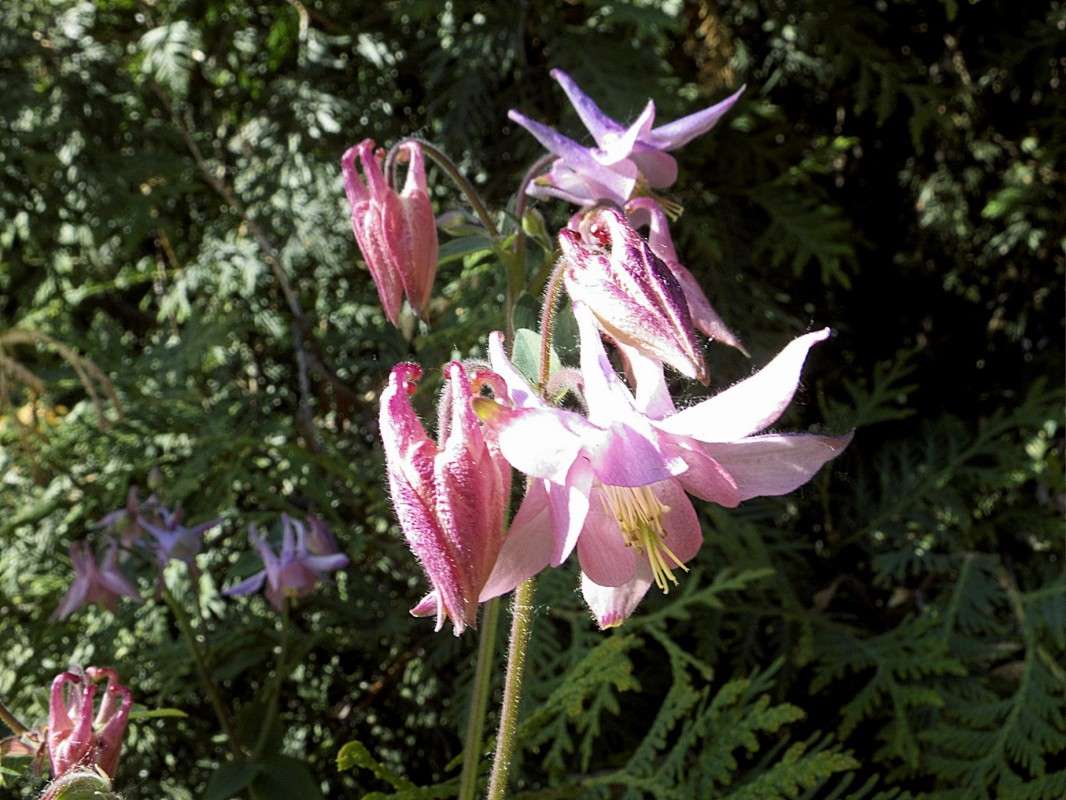 � ���� ������.... ����� ������  �� PhotoGeek.ru #������ ��� �������