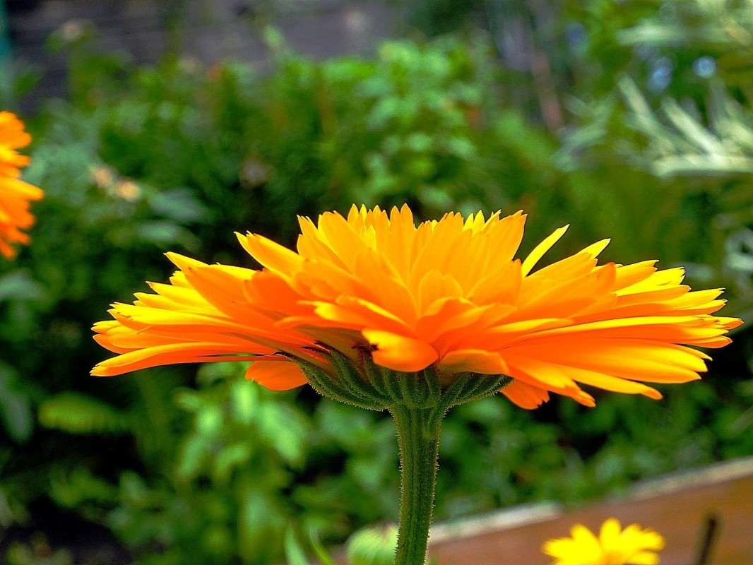 � ���� ������... ����� ������  �� PhotoGeek.ru #������ ��� �������