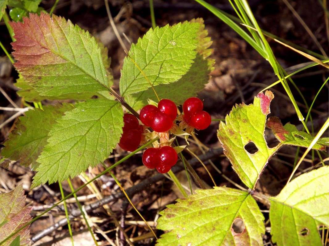 .....� ����.. ����� ������  �� PhotoGeek.ru #������ ��� �������