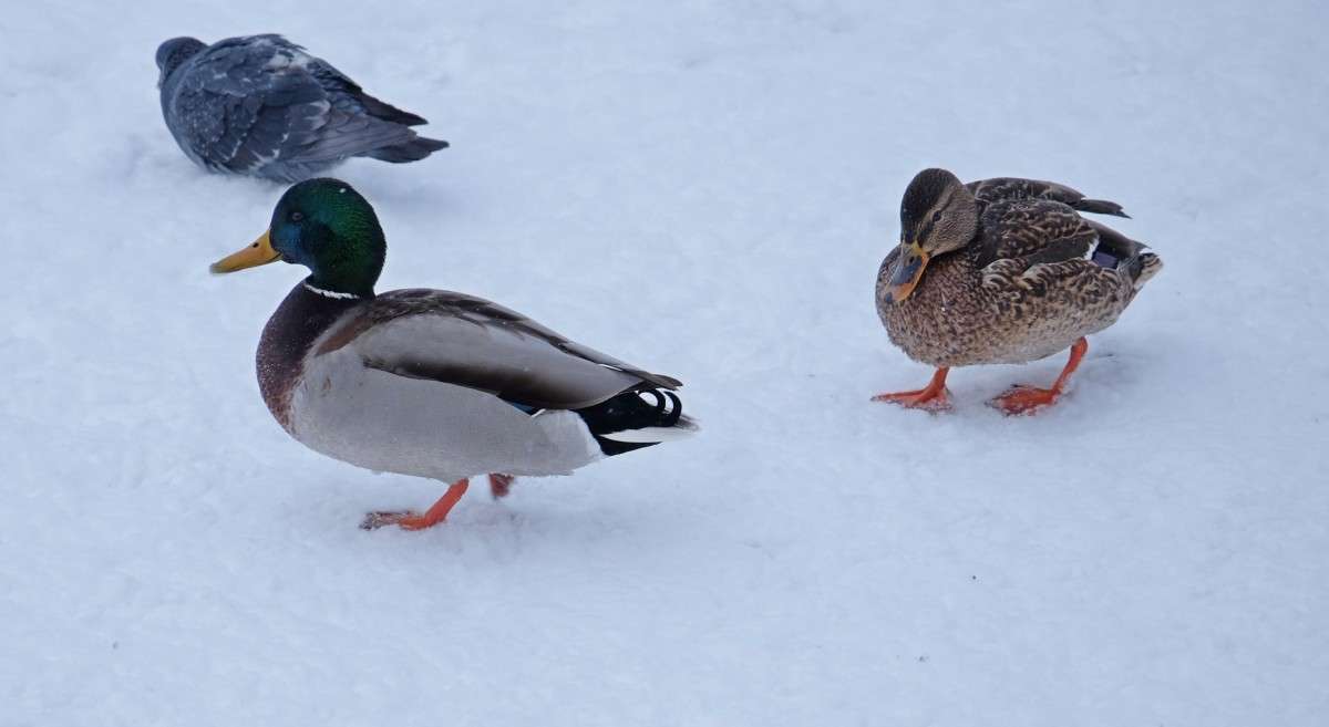 ������� ���� ����� ������  �� PhotoGeek.ru #�������� ���