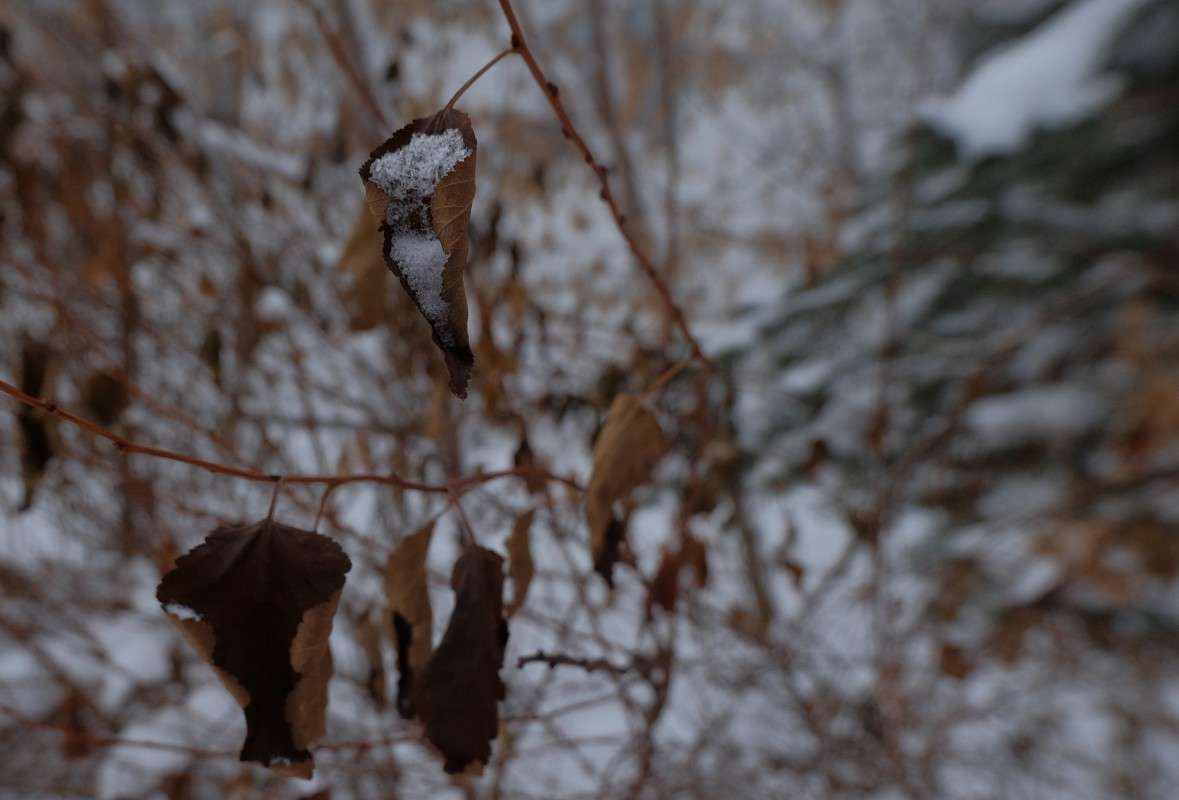 ����� ������� ����� ������  �� PhotoGeek.ru #������ ��� �������