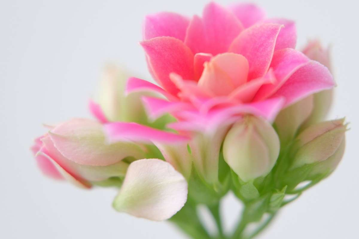 ����������� �������� ������... ����� ������  �� PhotoGeek.ru #������ ��� �������