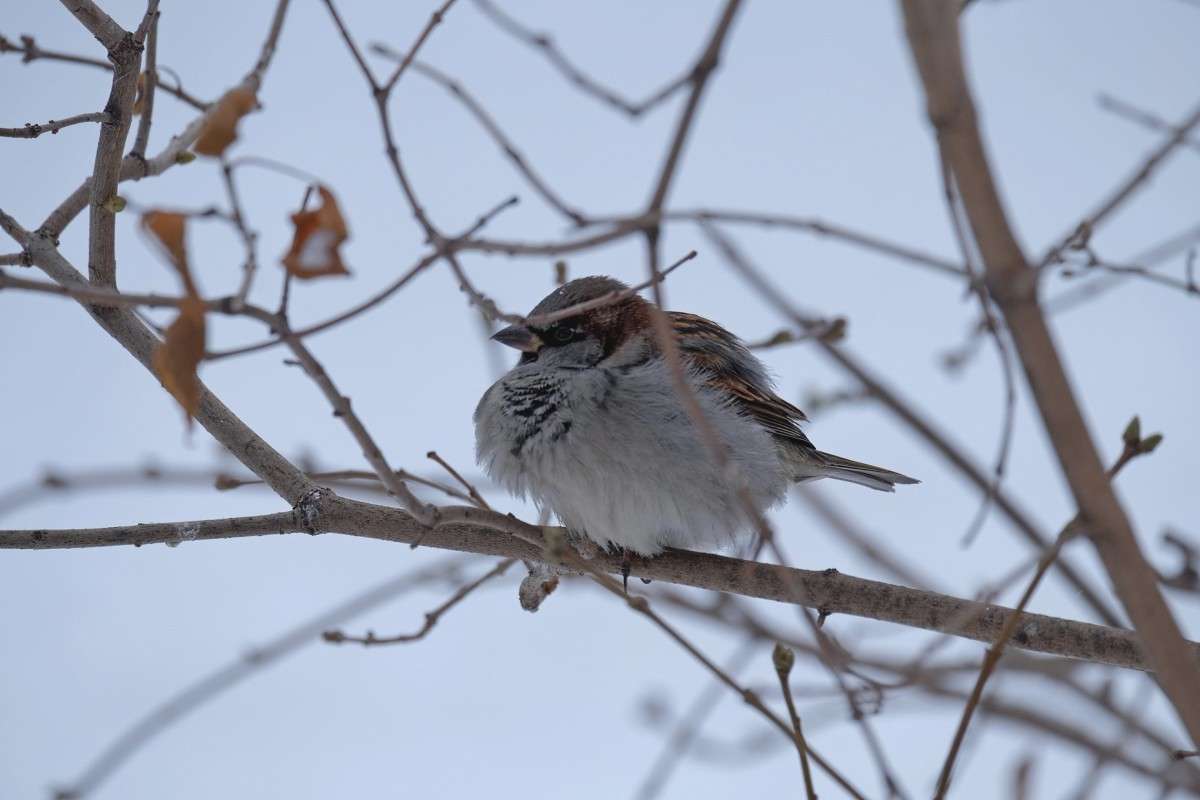 �����������.... ����� ������  �� PhotoGeek.ru #�������� ���