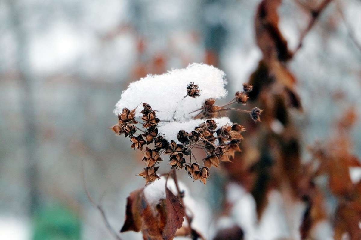 ���������... ����� ������  �� PhotoGeek.ru #������ ��� �������