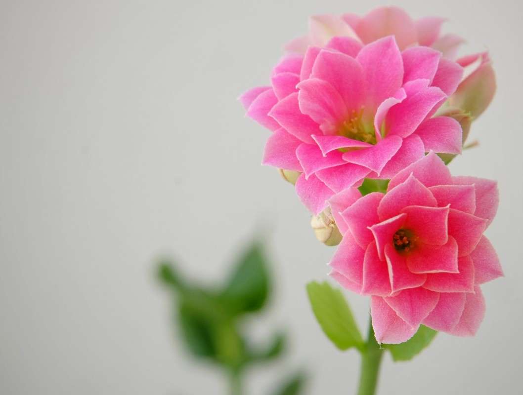 � ������� ������.... ����� ������  �� PhotoGeek.ru #������ ��� �������