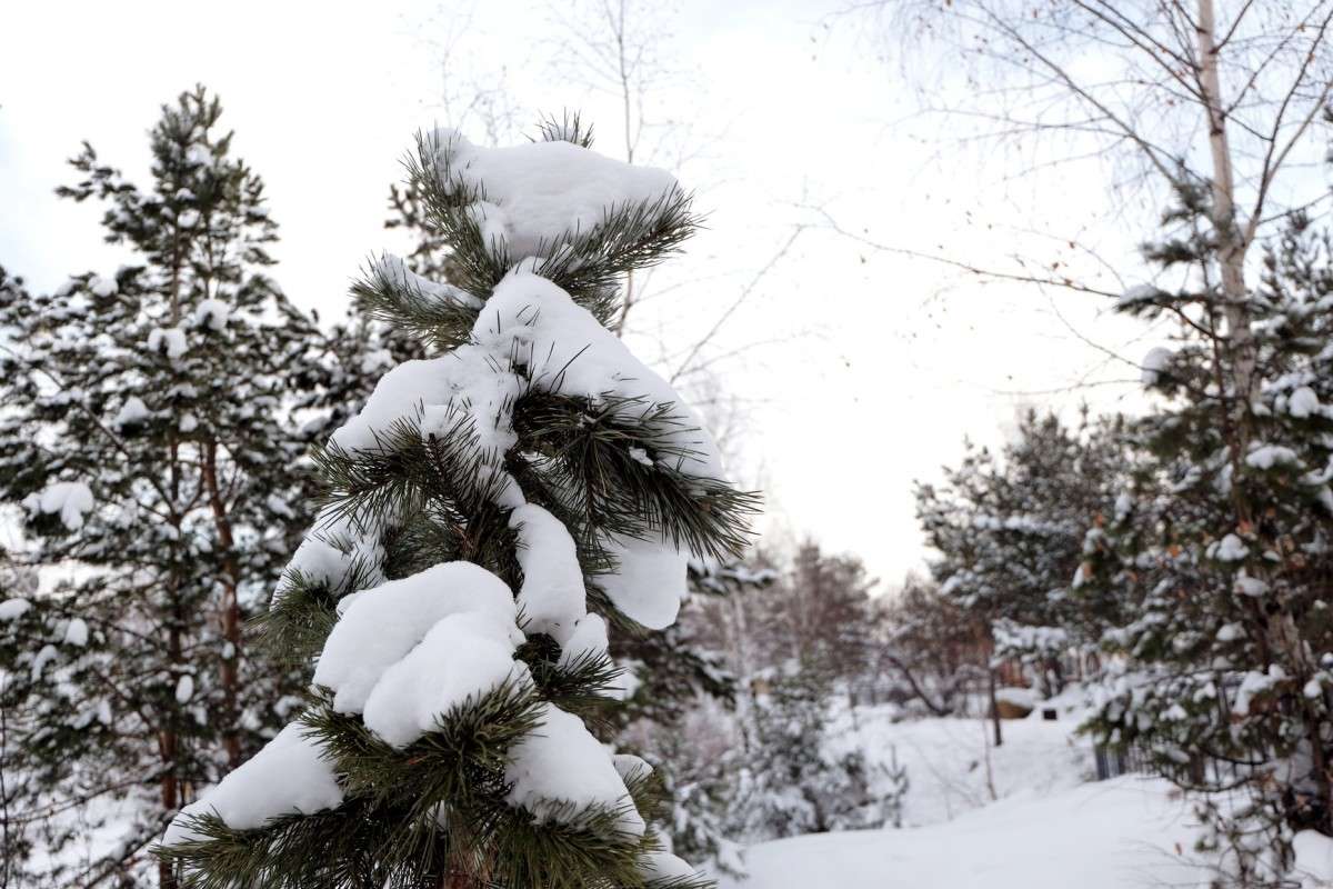 � ������� ����� ������ ����� ������  �� PhotoGeek.ru #������ ��� �������