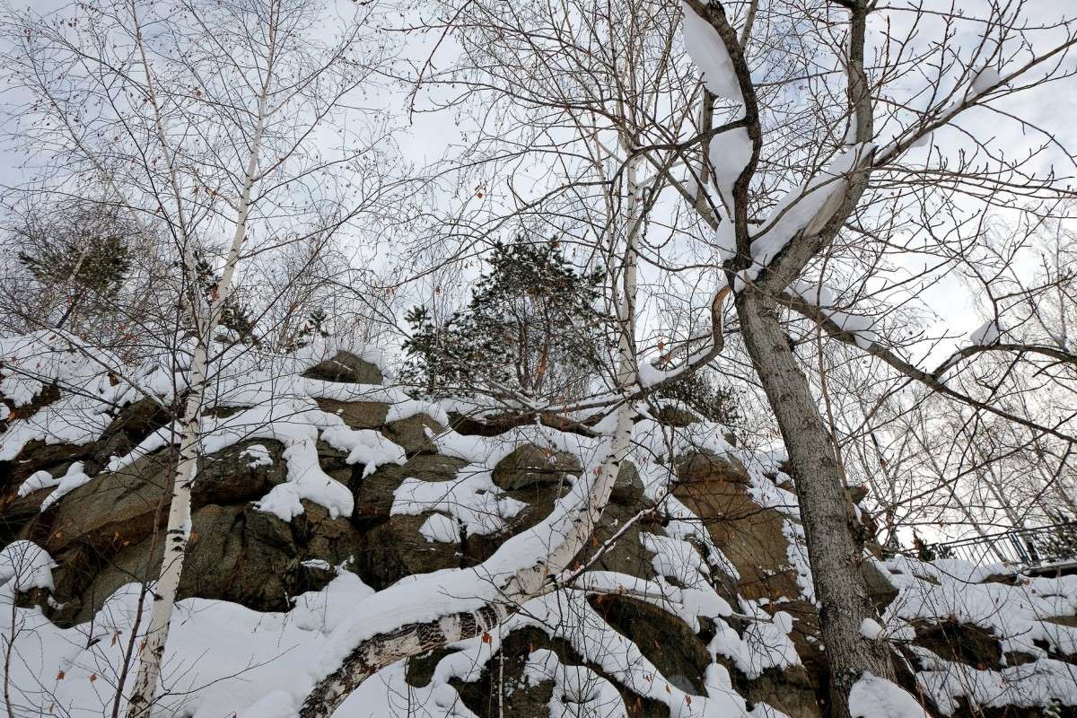 ����-������ ����� ������  �� PhotoGeek.ru #������ ��� �������