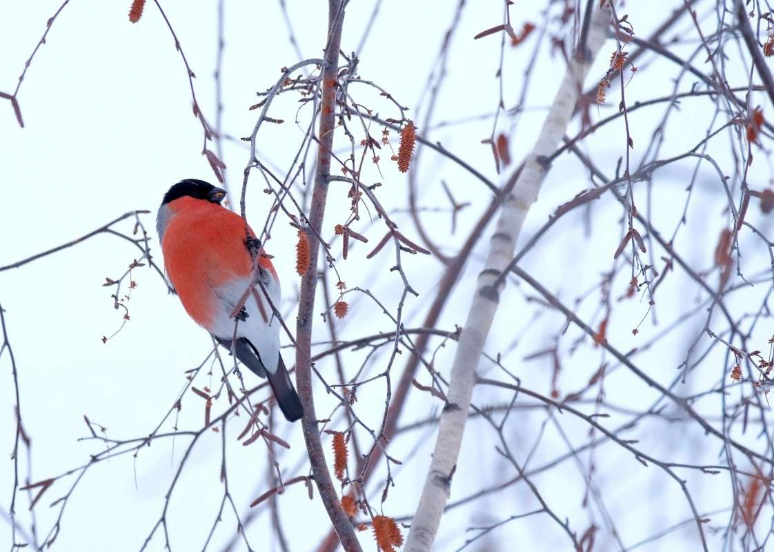 ������� ����� ������  �� PhotoGeek.ru #�������� ���