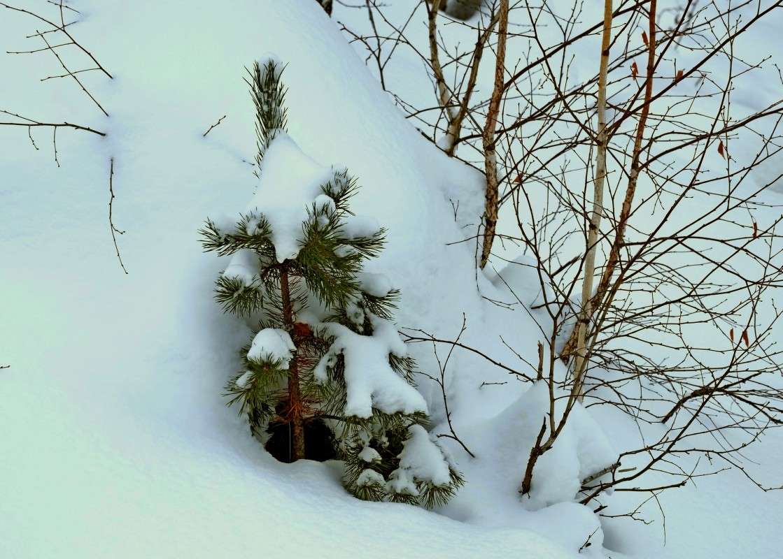 � ����� ��� � ����� ����? ����� ������  �� PhotoGeek.ru #������ ��� �������