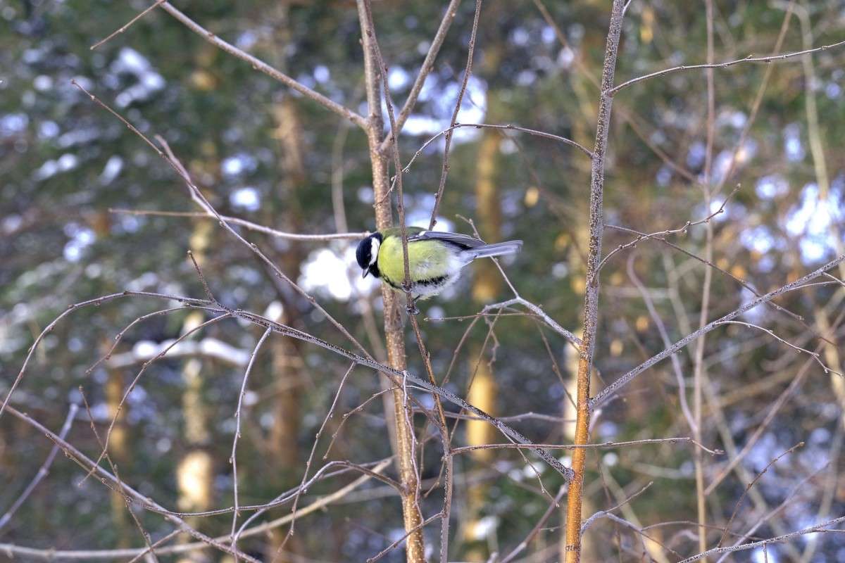 ����� �������... ����� ������  �� PhotoGeek.ru #�������� ���