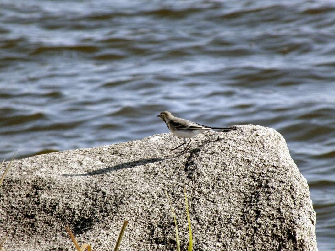 ������������ ����� ������  �� PhotoGeek.ru #�������� ���