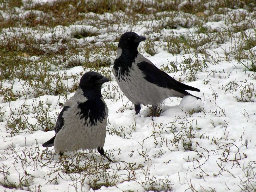 �������� ����� ������  �� PhotoGeek.ru #�������� ���