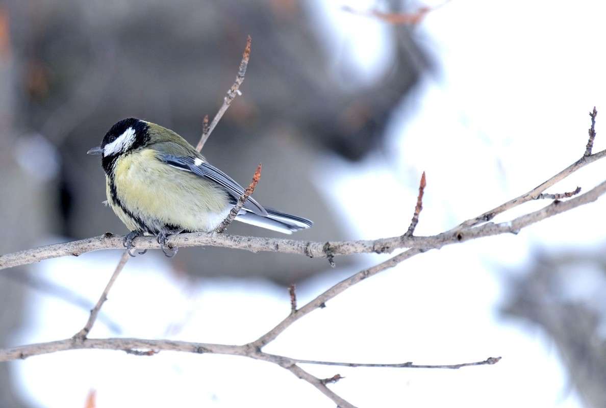 ������� ����� ������  �� PhotoGeek.ru #�������� ���