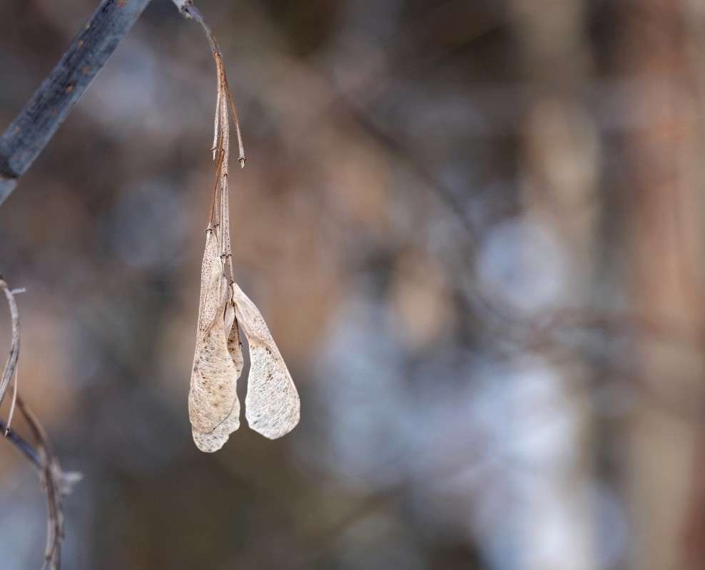 ������������... ����� ������  �� PhotoGeek.ru #������ ��� �������