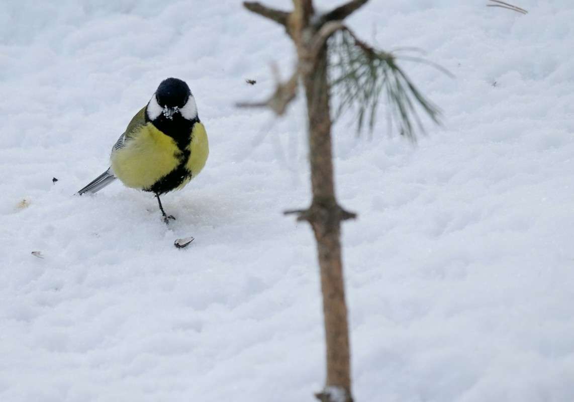 � ��� �������.... ����� ������  �� PhotoGeek.ru #�������� ���