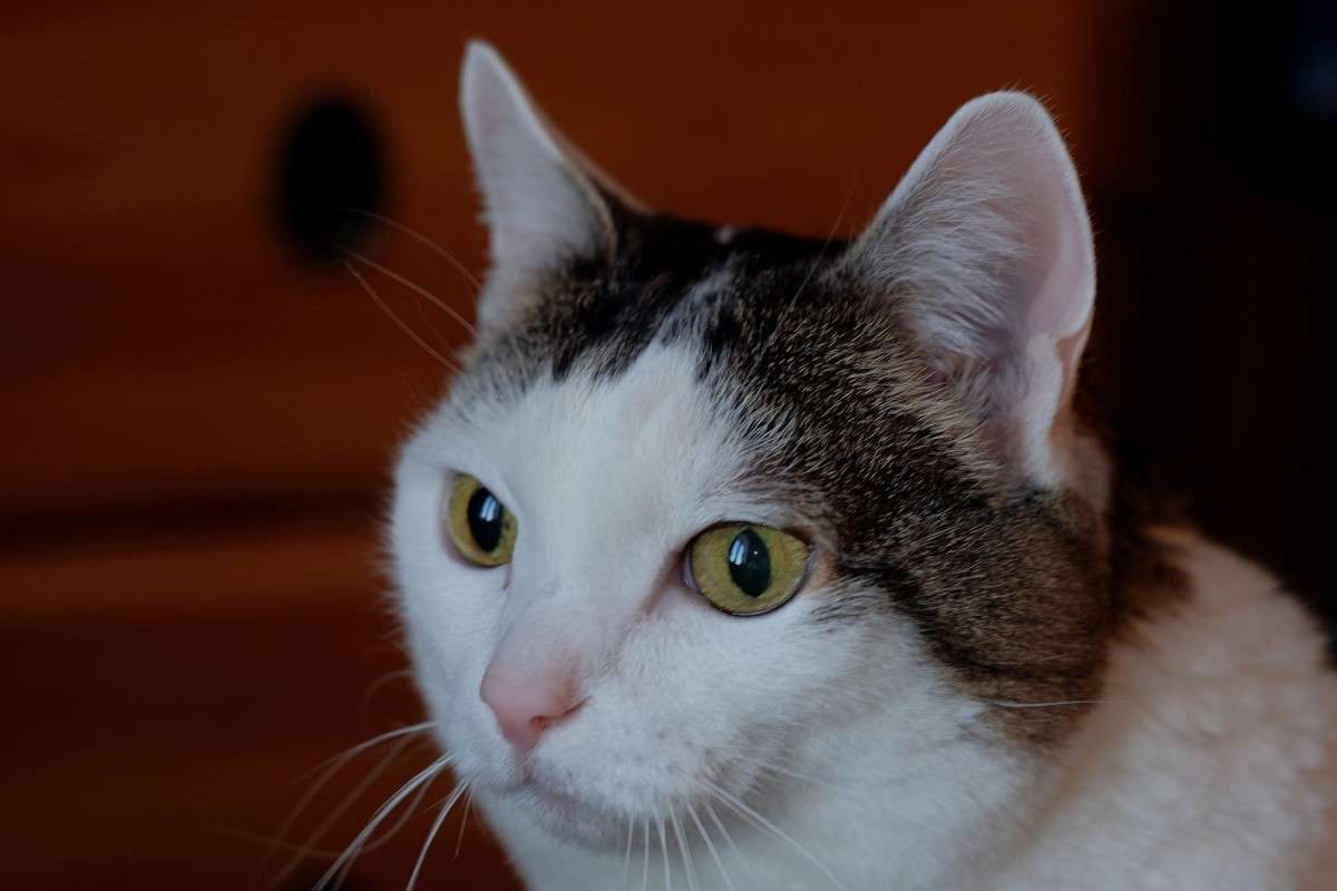 ���� 1 ����� ������  �� PhotoGeek.ru #�������� ���