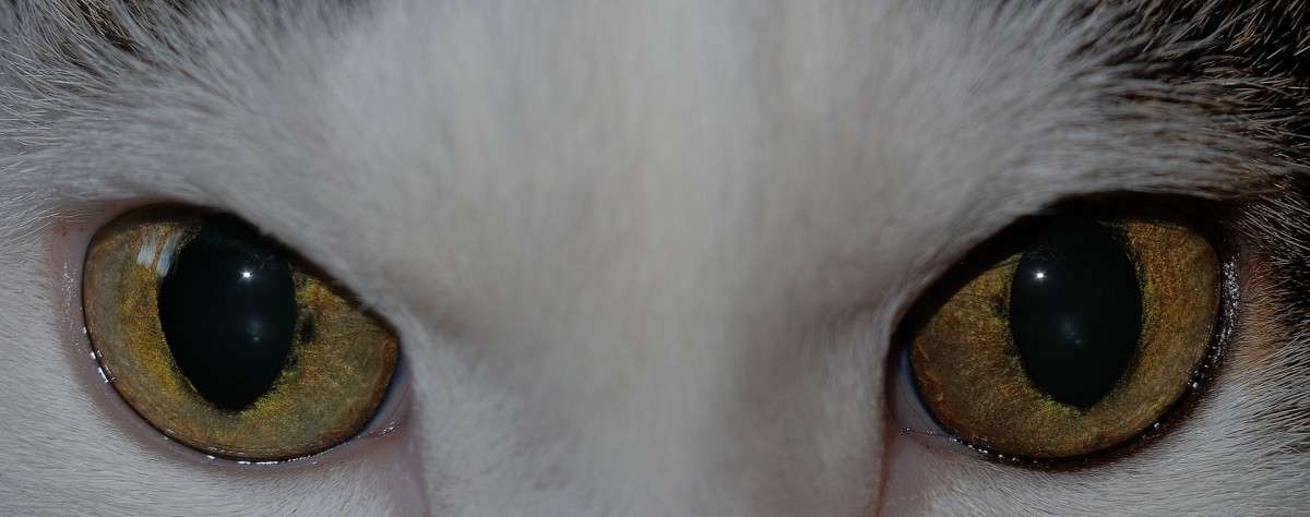 ����2 ����� ������  �� PhotoGeek.ru #�������� ���