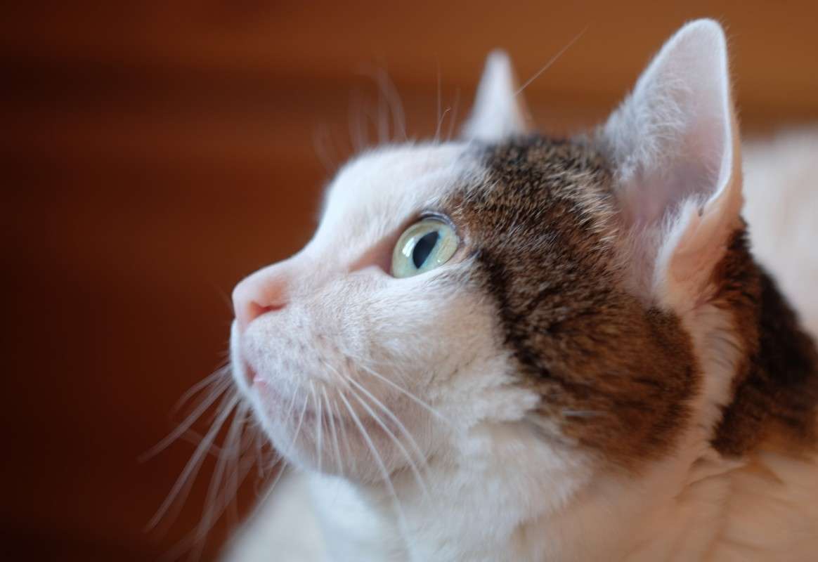 ����3 ����� ������  �� PhotoGeek.ru #�������� ���