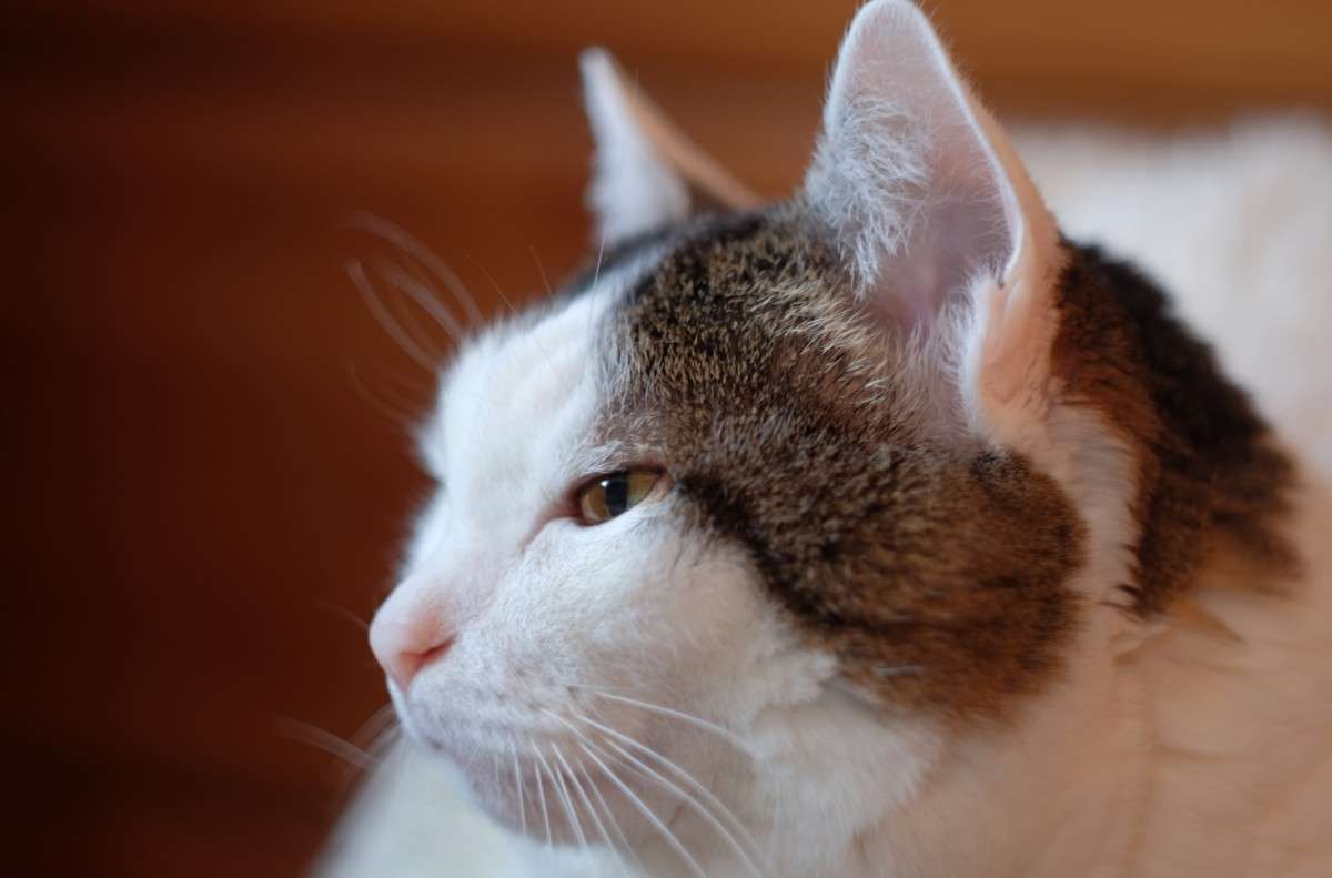 ����4 ����� ������  �� PhotoGeek.ru #�������� ���