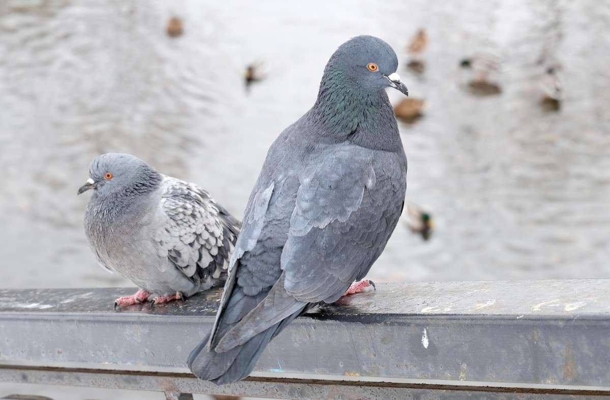 �������.... ����� ������  �� PhotoGeek.ru #�������� ���