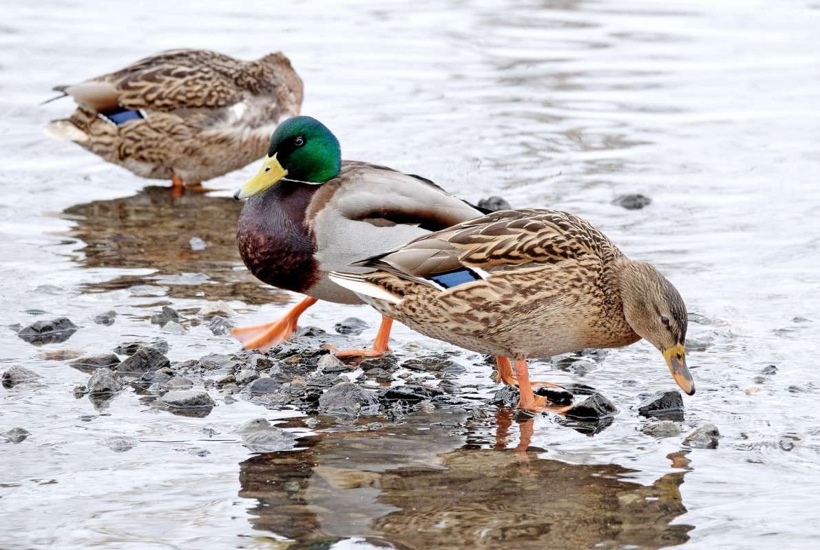 ���� ��� ����.... ����� ������  �� PhotoGeek.ru #�������� ���