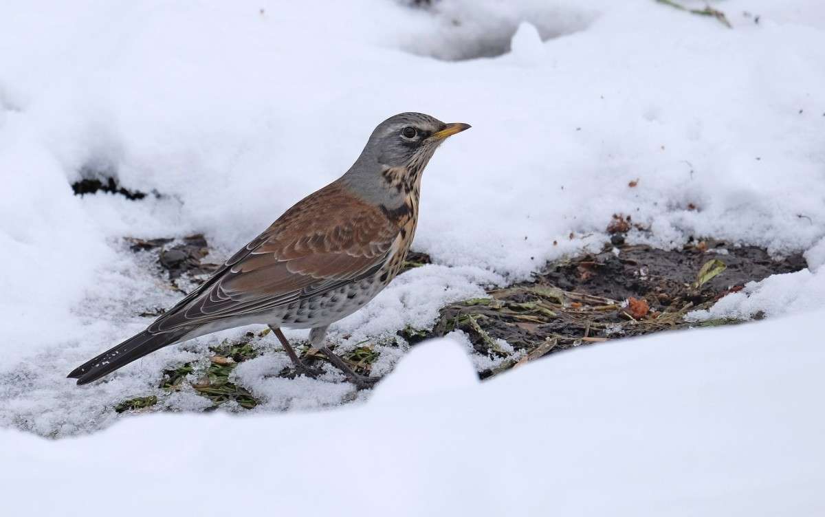 ����� �����...������� ����� ������  �� PhotoGeek.ru #�������� ���