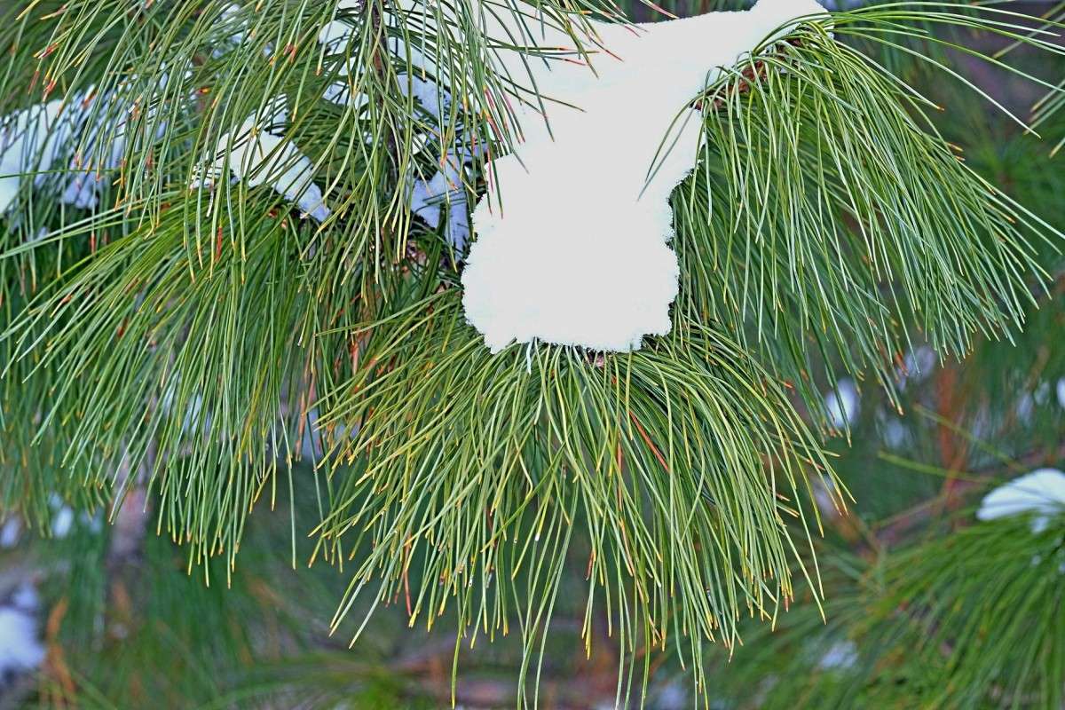 ..... ����� ������  �� PhotoGeek.ru #������ ��� �������