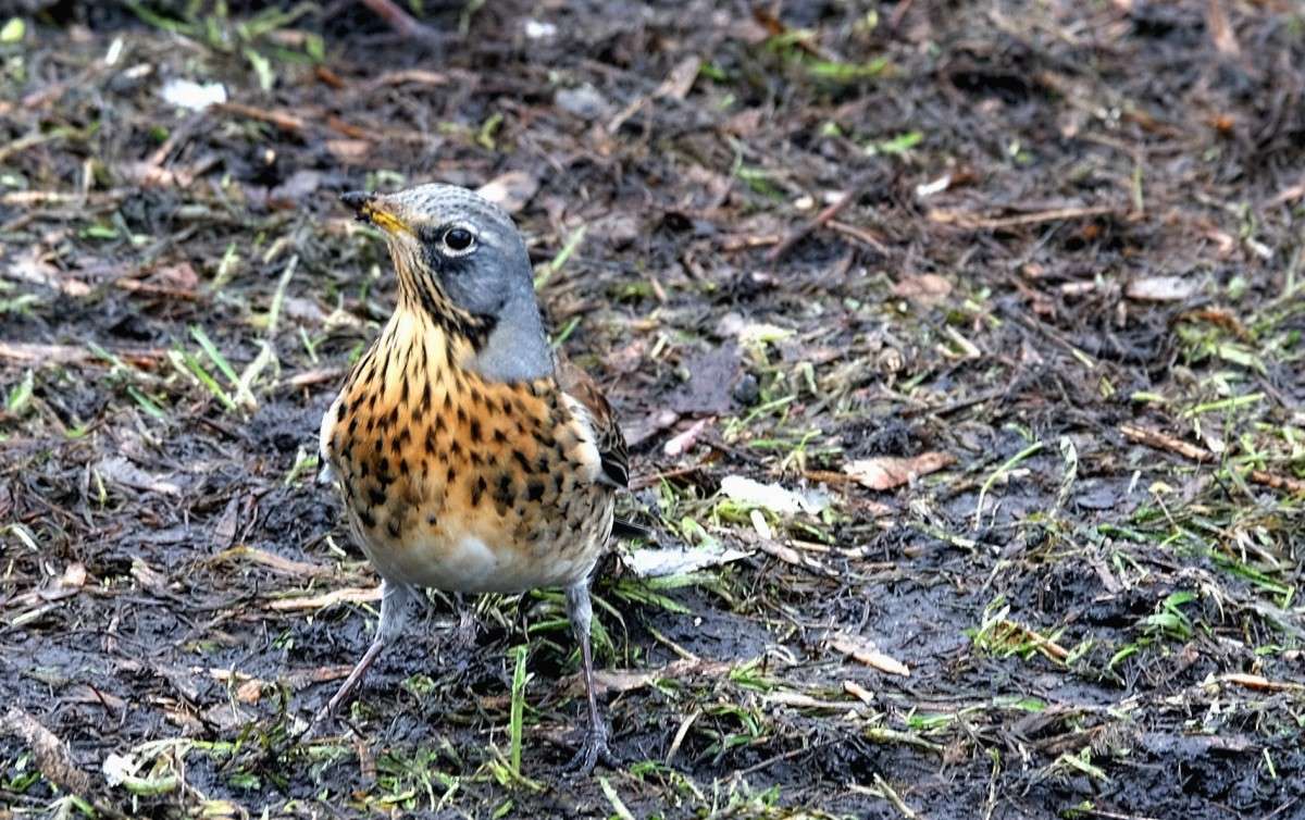 ������ ����� ������  �� PhotoGeek.ru #�������� ���