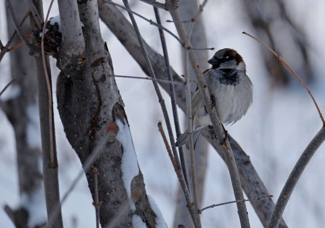 ������� ���������� ����� ������  �� PhotoGeek.ru #�������� ���