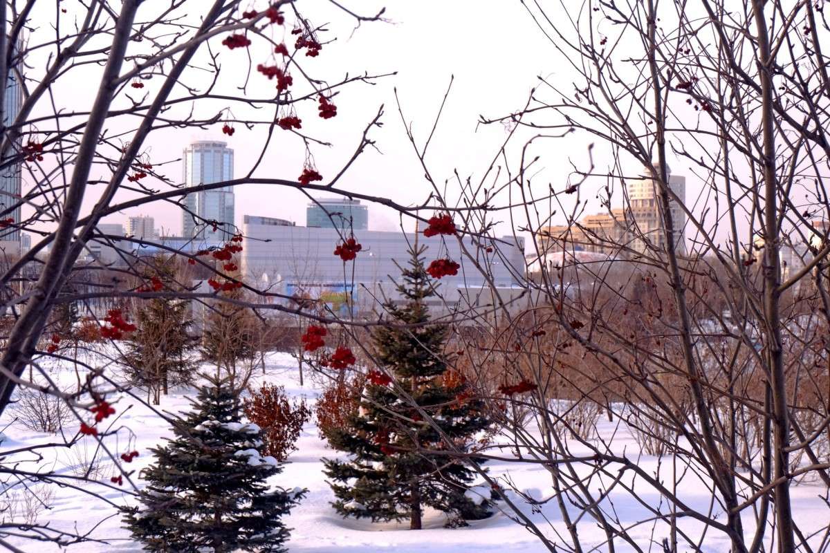 ������� ����� ����� ������  �� PhotoGeek.ru #�����