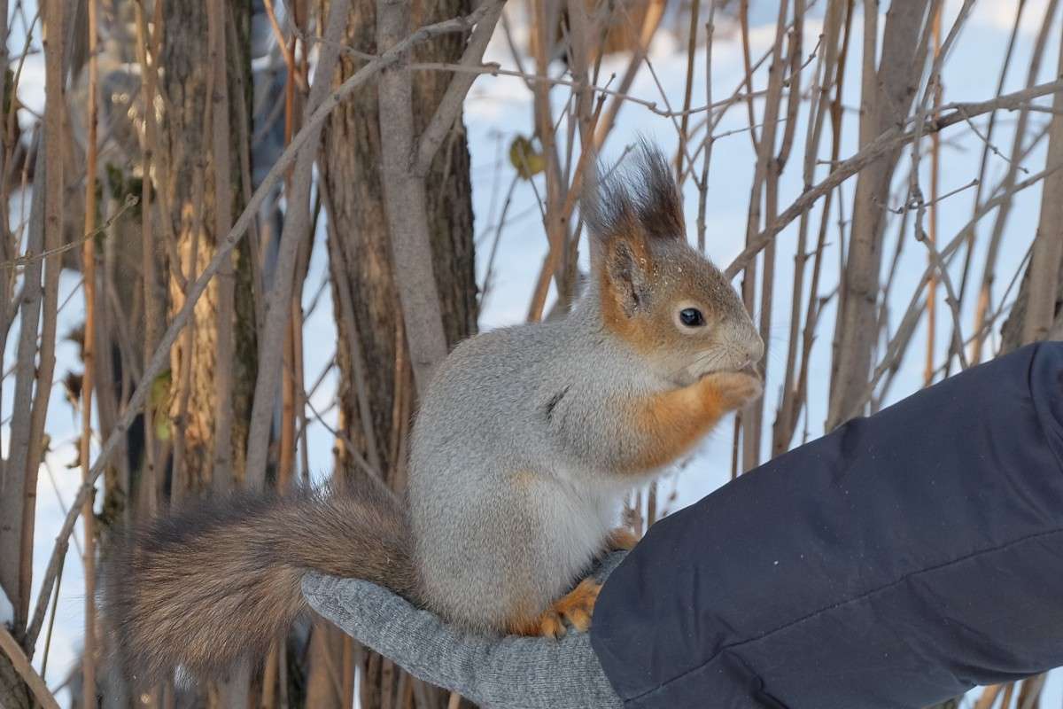 ����� �����... ����� ������  �� PhotoGeek.ru #�������� ���