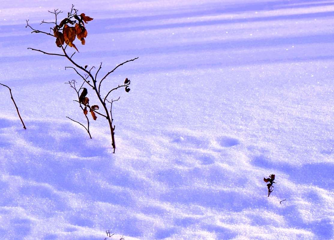 ���� ����� ������  �� PhotoGeek.ru #������ ��� �������