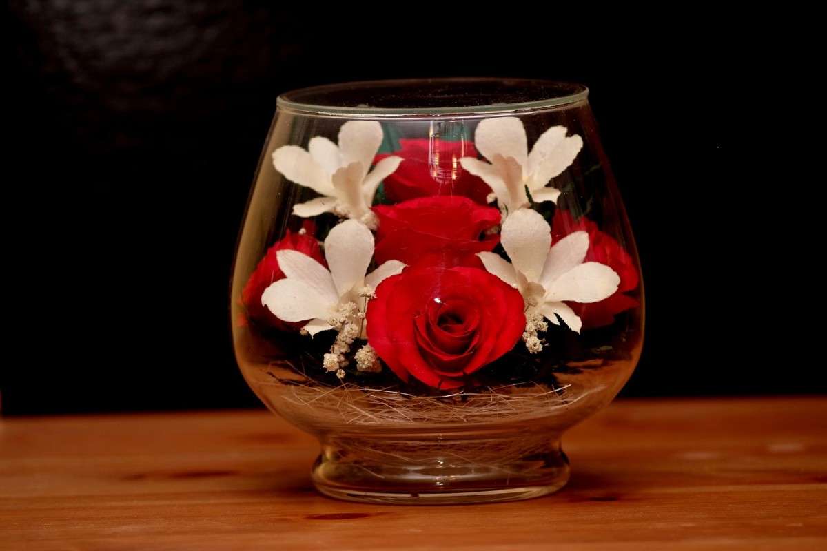 ����� ����� ������  �� PhotoGeek.ru #���������