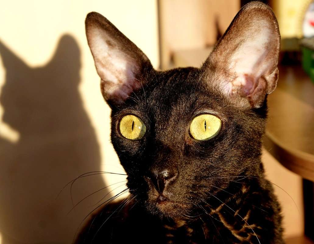 ��� ����� ������  �� PhotoGeek.ru #�������� ���