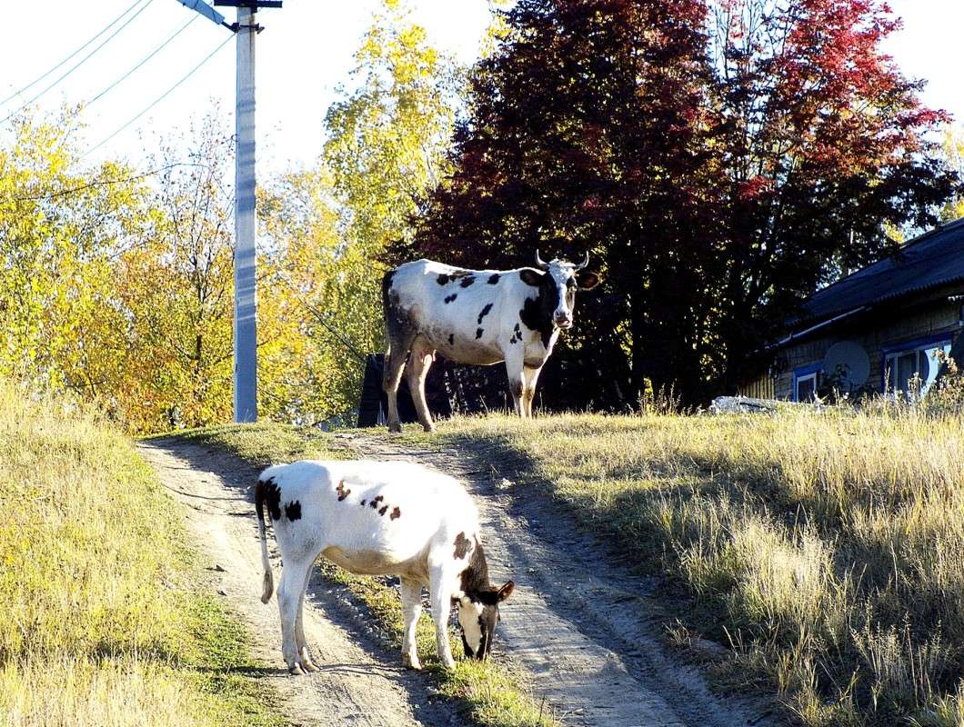 ����������� ��������� ����� ������  �� PhotoGeek.ru #������ ��� �������