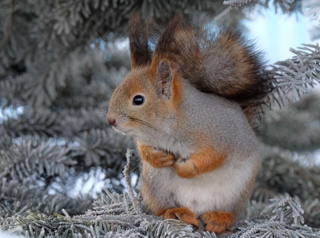 ��� �� ��������? ����� ������  �� PhotoGeek.ru #�������� ���