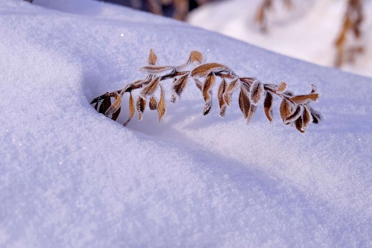 ���� ����� ������  �� PhotoGeek.ru #������ ��� �������