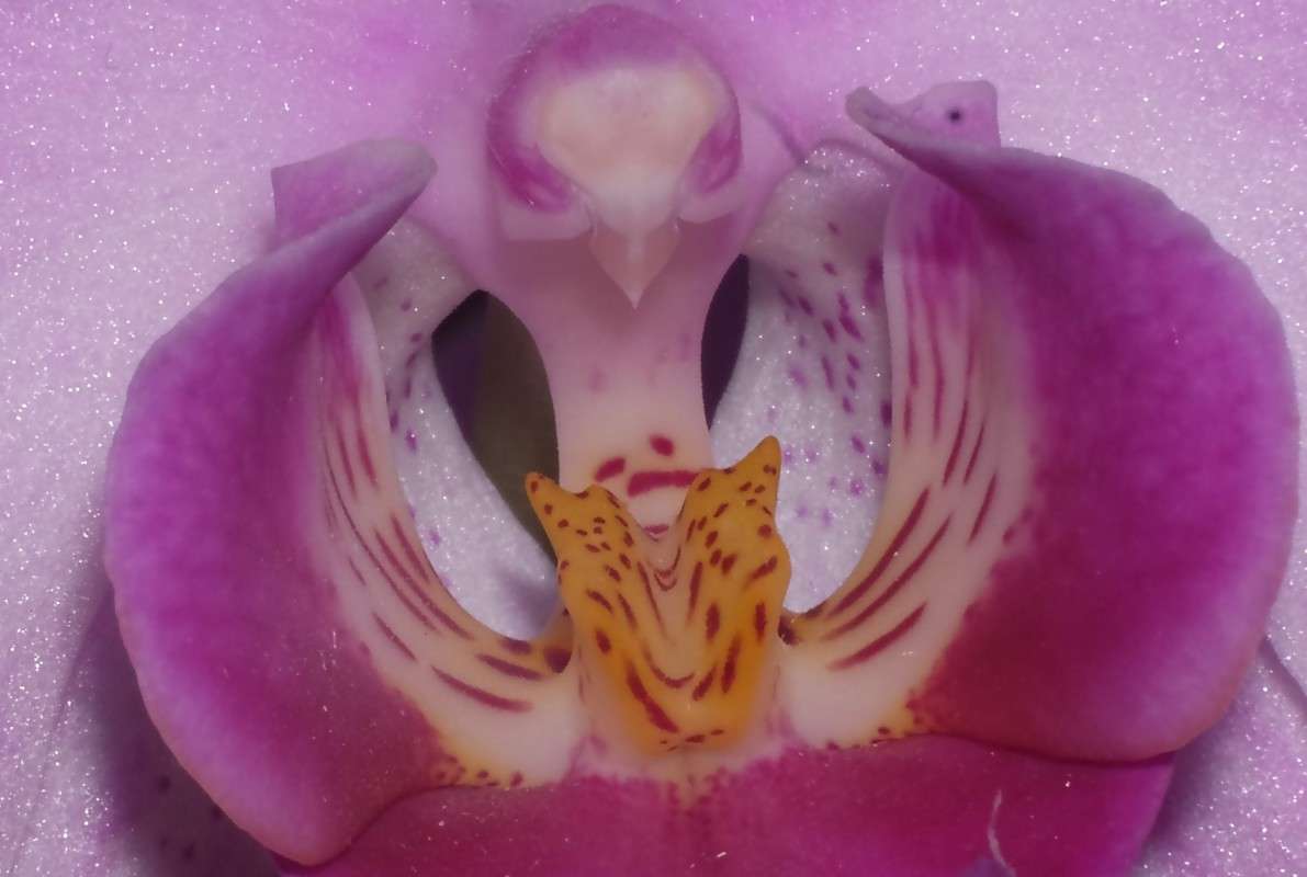 ����-�����.... ����� ������  �� PhotoGeek.ru #������ ��� �������