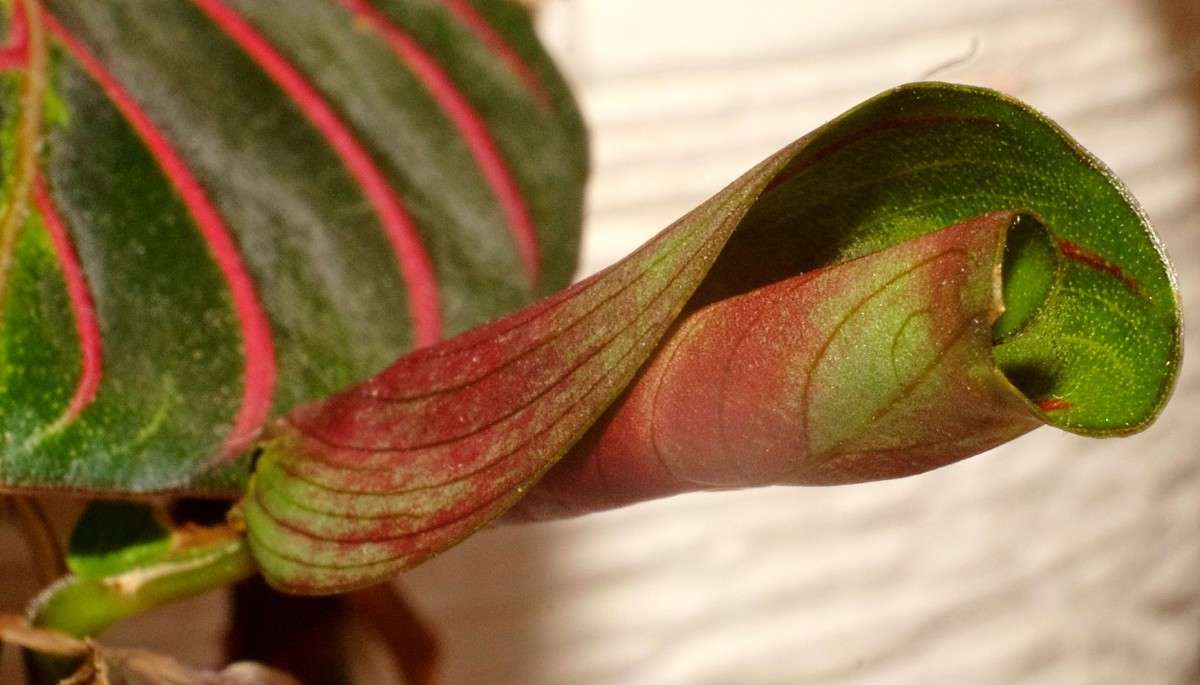 �������� ������ ������� ����� ������  �� PhotoGeek.ru #������ ��� �������