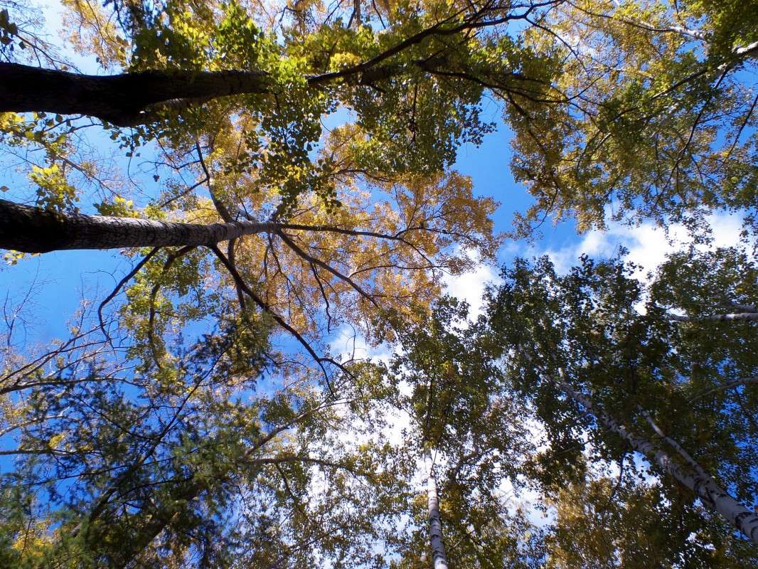 ������� ����� ����� ������  �� PhotoGeek.ru #������ ��� �������