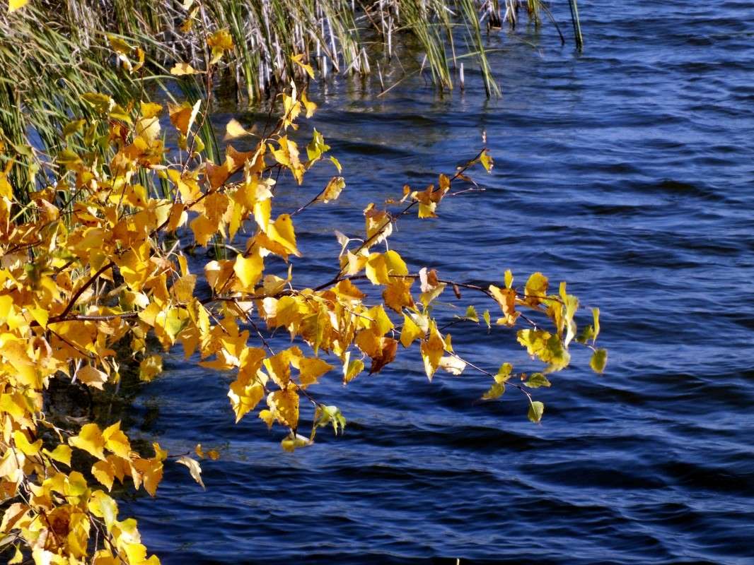 ������� ����� 2 ����� ������  �� PhotoGeek.ru #������ ��� �������