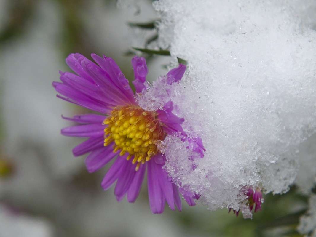 ����� �����.... ����� ������  �� PhotoGeek.ru #������ ��� �������